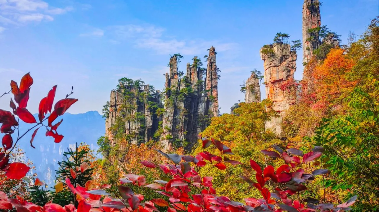 长沙+张家界+武陵源+天门山+凤凰4日3晚跟团游·暑期-100/成人·8人小团【纯玩0自费】长沙高铁到张家界<阿凡达>【袁家界】天然氧吧【金鞭溪】十里画廊 【天子山】天门山<索道往返>天门洞【玻璃栈道】凤凰夜景+苗服体验