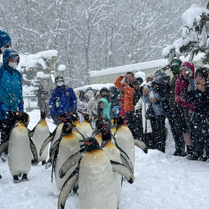 日本北海道5日4晚自由行