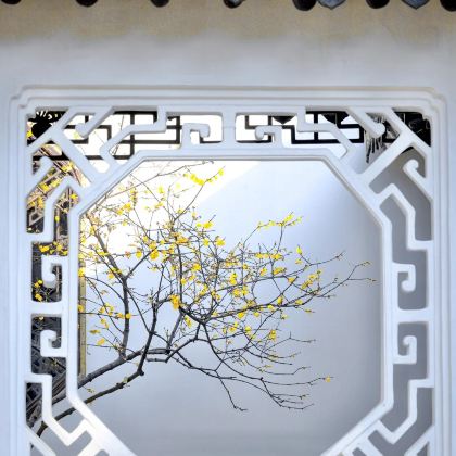 南昌+景德镇+婺源+杭州+上海+苏州+无锡+扬州+南京+乌镇15日14晚私家团