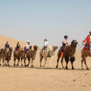 户外活动·全景腾格里沙漠游学6日亲子营丨百万棵树+大漠星空课堂+沙生动植物课堂+沙漠生存技能+贺兰山岩画拓印+博物馆游学+5A沙坡头；N+沙漠玩法，徒步寻宝，滑沙、骑骆驼，六轮卡车沙漠越野，影视城拍微电影