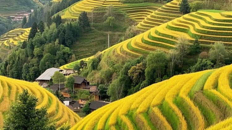 4D3N · Group Tours · International Tourists Only 'All Tips Included' China+ Guilin + Yangsho + Li River Scenic Area + Longji Rice Terraces
