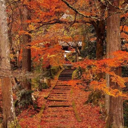 日本大阪+东京+日本环球影城+东京迪士尼乐园7日6晚拼小团
