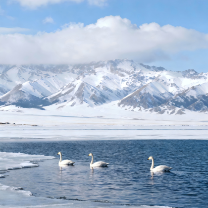 新疆北疆+乌鲁木齐+阿勒泰地区8日7晚自由行