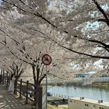 釜山+庆州+大邱6日5晚私家团