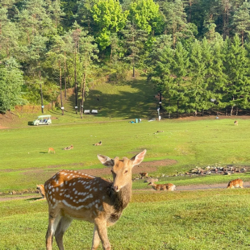 哈尔滨+伊春3日2晚私家团