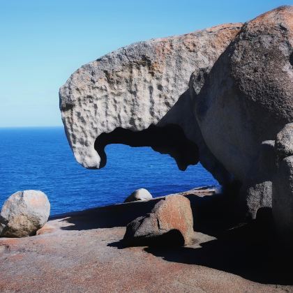 阿德莱德8日7晚私家团
