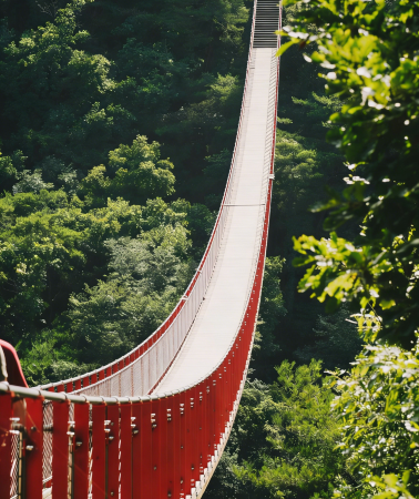 7D6N • South Korea + Jeju Island + Seoul + Korea DMZ Peace-Life Valley: Explore Korea's Top 100 Tourist Attractions: Gyeongbokgung Palace, N Seoul Tower, and the DMZ.