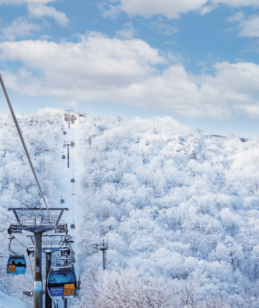 7D6N • South Korea + Nami Island + Pyeongchang-gun + Seoul: A fun family adventure, super players, inquire now to enjoy a discount