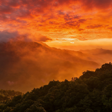 广东惠州+惠东+海龟自然保护区+广东罗浮山风景名胜区3日2晚自由行