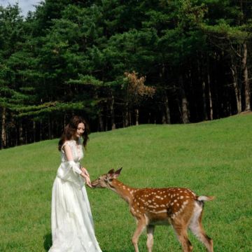 哈尔滨+伊春+五大连池市+齐齐哈尔+大庆6日5晚跟团游