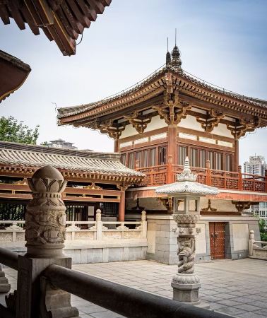 4日•西安+秦始皇兵馬俑博物館+西安博物院+大雁塔+青龍寺+西安城壁+興慶宮公園+大興善寺