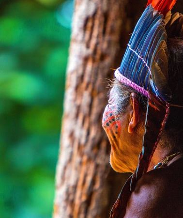 7D6N • Amazon Rainforest - Private Multi Day Tour