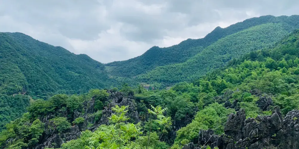 永安旅遊