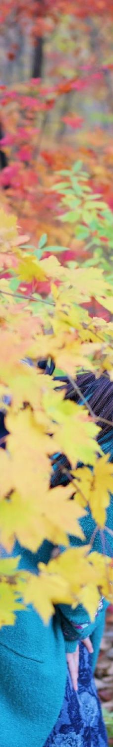 蒲石河森林公园-凤城