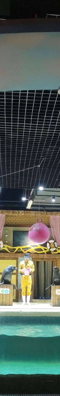 重庆