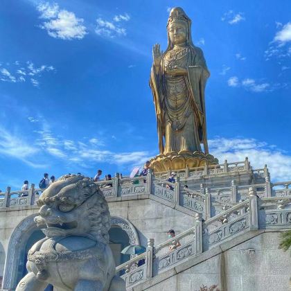 浙江宁波+舟山普陀山风景区4日3晚私家团