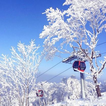 长白山5日4晚私家团