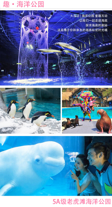 大连老虎滩海洋公园旅顺口区5日4晚跟团游