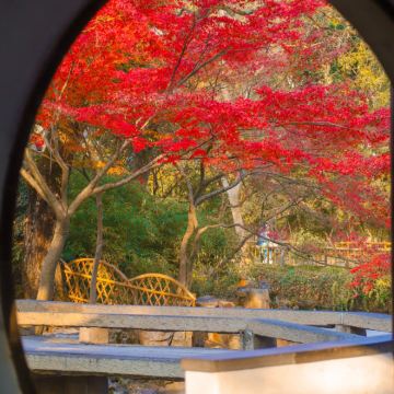 杭州+乌镇+苏州5日4晚私家团