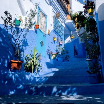 摩洛哥卡萨布兰卡+马拉喀什+瓦尔扎扎特+非斯+舍夫沙万8日7晚跟团游