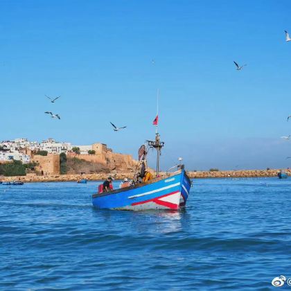 摩洛哥卡萨布兰卡-塞塔特大区+拉巴特+乌达雅堡3日跟团游