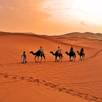 卡萨布兰卡默罕默德五世广场+马拉喀什+舍夫沙万7日6晚跟团游