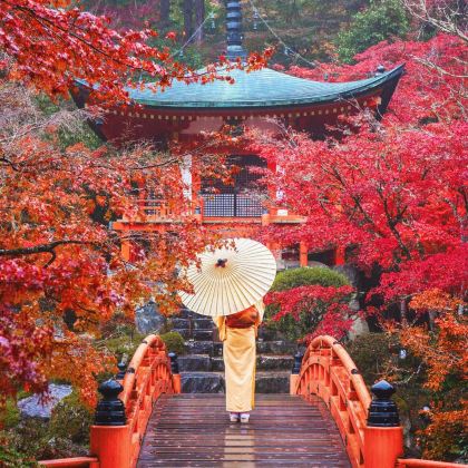日本东京+冲绳县6日5晚私家团