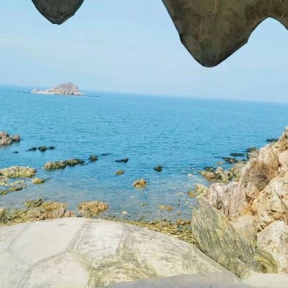 烟台+蓬莱区+威海+搁浅货轮布鲁维斯号+蓬莱阁+火炬八街4日3晚拼小团