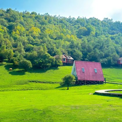宝鸡青铜器博物院+法门寺+关山草原2日1晚私家团