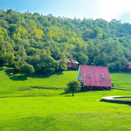宝鸡青铜器博物院+法门寺+关山草原2日1晚私家团