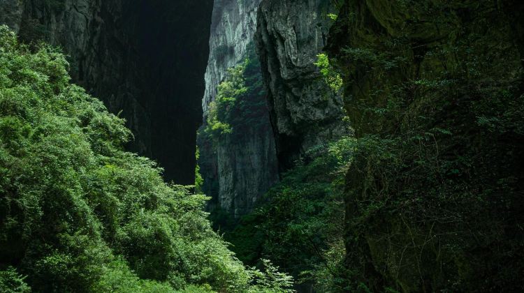4-Day Chongqing + Wulong Group Tours: Three Natural Bridges + Fairy Mountain National Forest Park + Chiyou Jiuli City