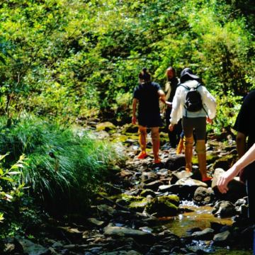 长白山+哈尔滨7日6晚自由行