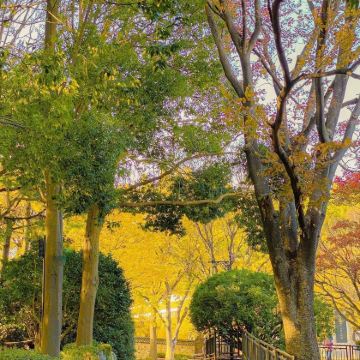 釜山5日4晚私家团