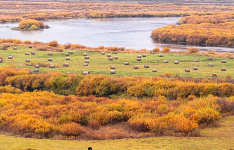 5-day 4-night · Private tours · Chengde + Saihanba + Wulanbutong Steppe Tourist Area + Great Wall At Simatai · Pre-sale for Grassland Season! A Cost-effective Choice! Visit the Ewenki Reindeer Tribe and feed reindeer and alpacas. Folk Nadam - Mongolian Wrestling and Archery / Cuddly Pet Paradise / Equestrian Show / Mongolian Household + Vast Starry Sky. Take a stroll in the Imperial Summer Resort and the Simatai Great Wall.