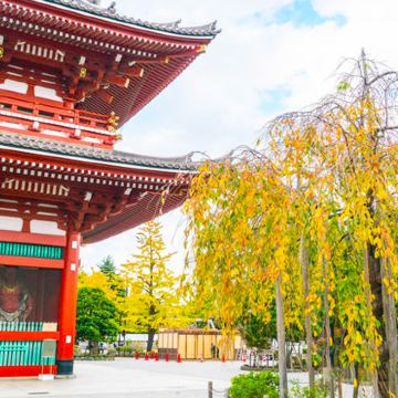 日本东京+富士山+大阪+京都+奈良9日8晚拼小团