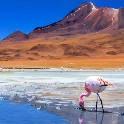 智利卡拉马+圣佩德罗德阿塔卡马+阿塔卡马沙漠5日4晚跟团游