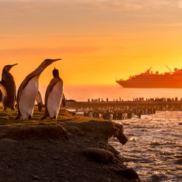 南极洲+阿根廷+巴西+秘鲁+智利38日跟团游