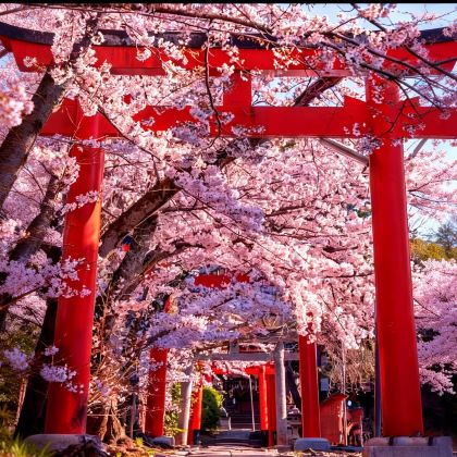 日本名古屋+下吕市+金泽7日6晚私家团