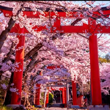 日本名古屋+下吕市+金泽7日6晚私家团