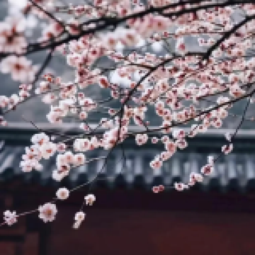 江西庐山市3日2晚拼小团