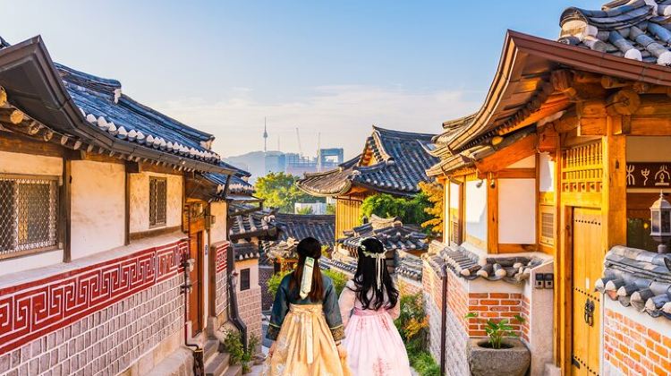 3-Day 3D Private Seoul Highlight tours with DMZ & Korean Folk Village