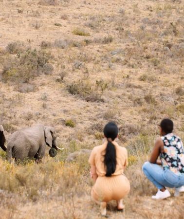 3D2N • From CapeTown:3-Day Botlierskop Luxury Safari with Transfers