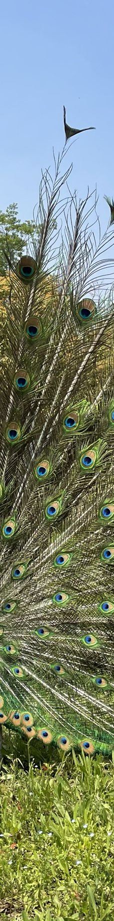 仙山湖风景区-长兴