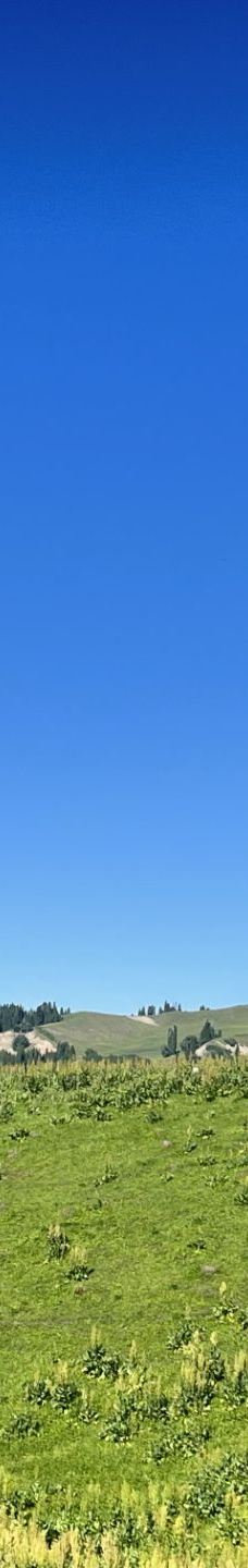 库尔德宁景区-巩留