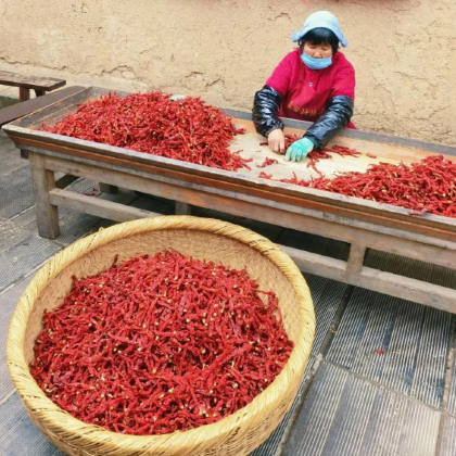 西安城墙+秦始皇帝陵博物院(兵马俑)+华清宫+袁家村+白鹿原影视城4日3晚私家团