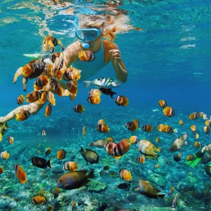 泰国曼谷+芭堤雅6日5晚拼小团