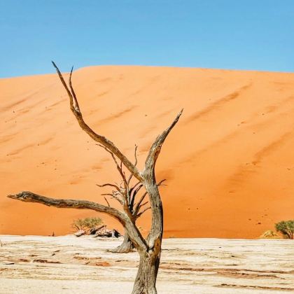 纳米比亚温得和克+纳米布沙漠+鲸湾港+Spitzkoppe11日8晚私家团