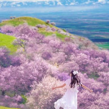 新疆乌鲁木齐+北疆8日7晚私家团