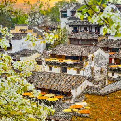 千岛湖景区+宏村景区+婺源篁岭景区3日2晚私家团