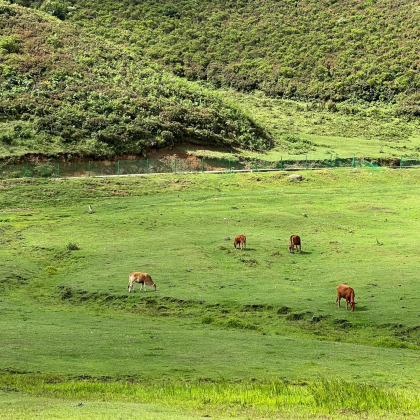 六盘水3日2晚私家团